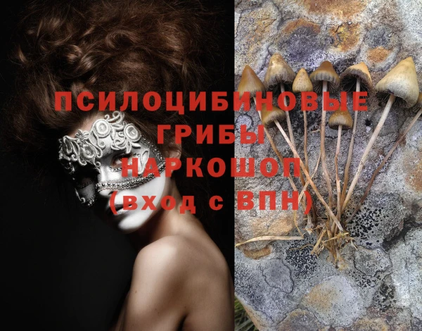 MESCALINE Алзамай