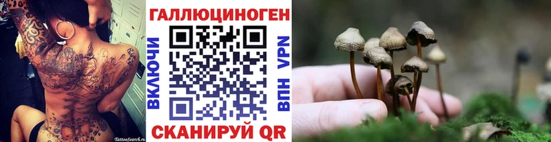 гидра рабочий сайт  Злынка  Галлюциногенные грибы мицелий  наркошоп 